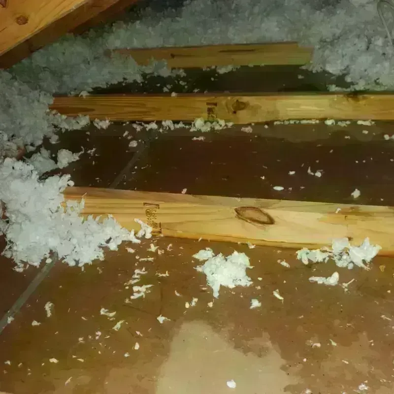 Attic Water Damage in Hutchinson, KS