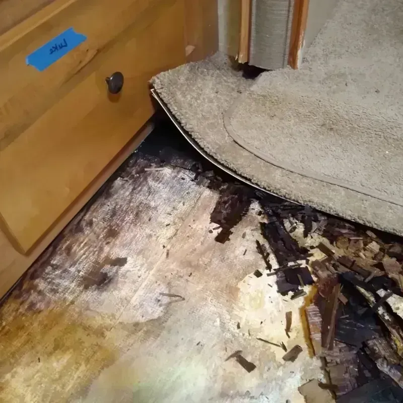 Wood Floor Water Damage in Hutchinson, KS